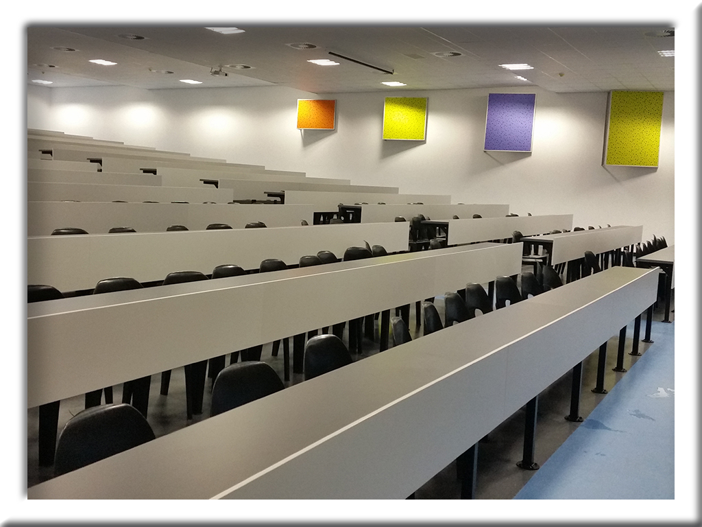 Lecture Hall / Auditorium Fitting